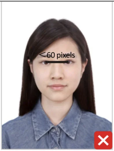 China Visa Photo Requirements — 33×48mm | PassportPhotoHub